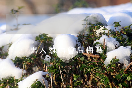 男人離婚會后悔嗎