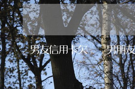 男友信用卡欠兩萬(男朋友信用卡欠了五萬)