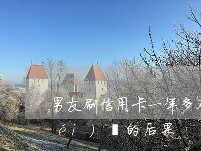 男友刷信用卡一年多不還(信用卡一年沒(méi)還的后果)