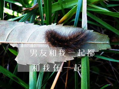 男友和我一起都還沒離婚(男友還沒離婚天天和我在一起)