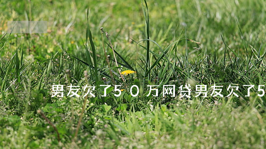 男友欠了50万网贷(男友欠了50万网贷)