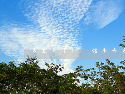 男友欠了5萬信用卡(男友欠了幾萬塊信用卡)