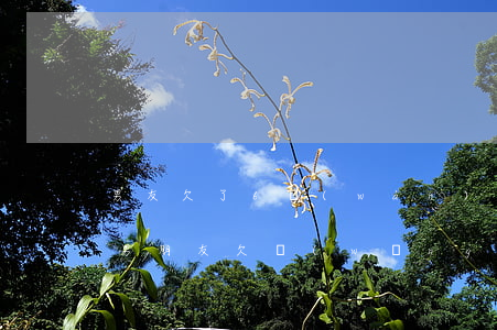 男友欠了6萬(wàn)網(wǎng)貸(男朋友欠網(wǎng)貸10幾萬(wàn)要分手嗎)