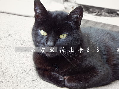 男友欠信用卡28萬 男朋友信用卡欠二十萬