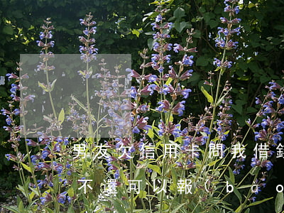 男友欠信用卡問我借錢(男朋友欠我信用卡錢不還可以報(bào)警嗎)