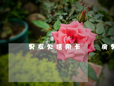 男友欠信用卡沒買房（男友欠信用卡6）