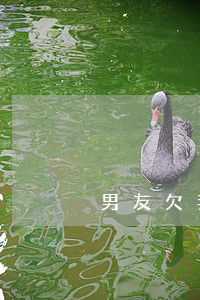 男友欠我的信用卡5萬