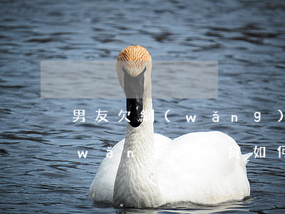 男友欠網(wǎng)商貸不還(還不起網(wǎng)商貸如何協(xié)商)