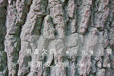 男友欠網(wǎng)貸十幾萬(wàn)(男朋友欠網(wǎng)貸)