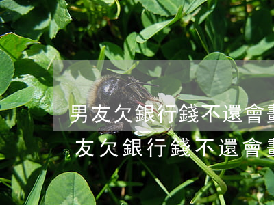 男友欠銀行錢不還會劃扣女朋友賬戶嗎-男友欠銀行錢不還會劃扣女朋友賬戶嗎知乎