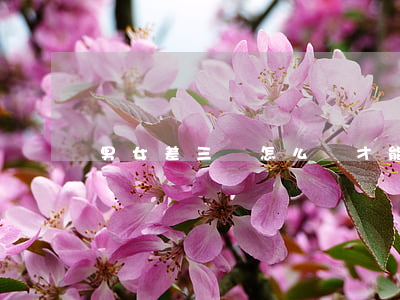 男女差三歲怎么樣才能離婚(離婚孩子三歲)