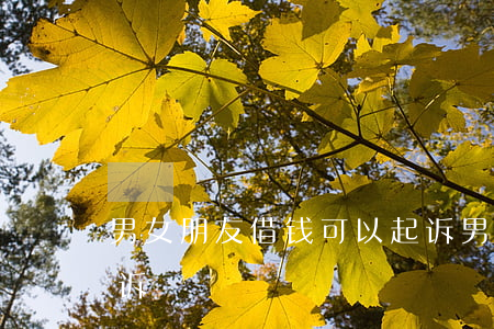 男女朋友借钱可以起诉(男女朋友借钱可以起诉)