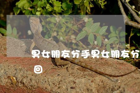 男女朋友分手(男女朋友分手了給的錢可以要回嗎?)
