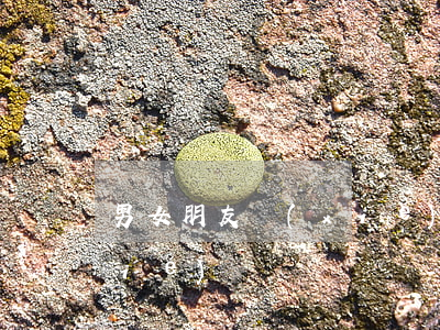 男女朋友協(xié)議書(男女朋友協(xié)議書)