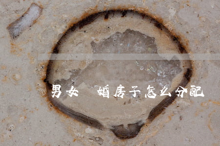 男女離婚房子怎么分配