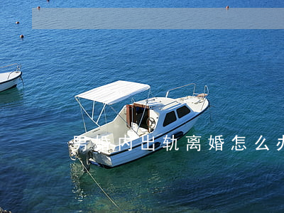 男婚内出轨离婚怎么办
