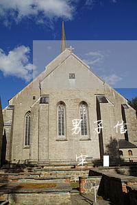 男子信用卡欠20萬(欠信用卡20多萬會坐牢嗎)