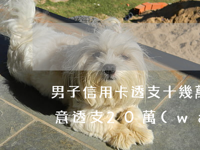 男子信用卡透支十幾萬(wàn)(信用卡惡意透支20萬(wàn)判幾年)