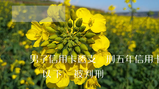 男子信用卡透支獲刑五年(信用卡惡意透支五萬以下會被判刑嗎?)