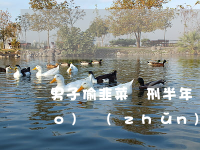 男子偷韭菜獲刑半年 盜竊罪立案標(biāo)準(zhǔn)是多少元?