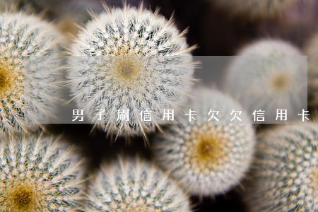 男子刷信用卡欠(欠信用卡的男人值得托付嗎)