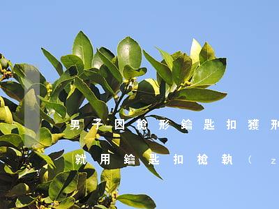 男子因槍形鑰匙扣獲刑，律師：建議判被告槍決，就用鑰匙扣槍執(zhí)行