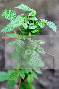 男子惡意透支信用卡2萬