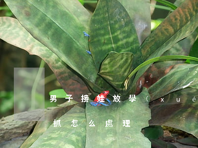 男子接娃放學(xué)前嫖娼被抓 嫖娼被抓怎么處理?