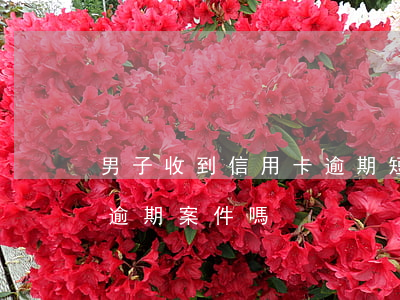 男子收到信用卡逾期短信(公安局受理信用卡逾期案件嗎)