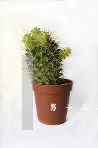 男子欠8w網(wǎng)貸被在上門