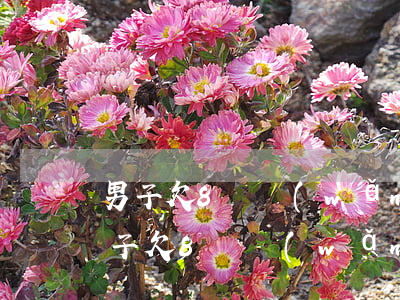 男子欠8萬網(wǎng)貸被催收上門(男子欠8萬網(wǎng)貸被催收上門)