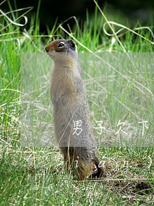 男子欠下巨額債務(wù)（男子欠工錢(qián)無(wú)力償還）