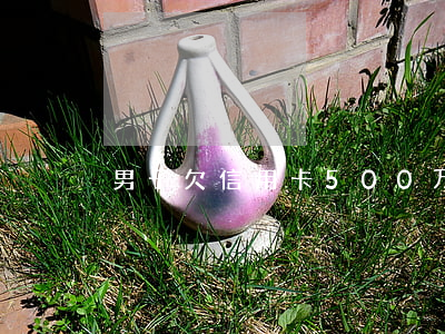 男子欠信用卡500万全部视频-