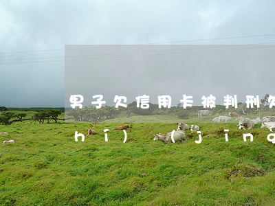 男子欠信用卡被判刑(欠信用卡坐牢真實(shí)經(jīng)歷)