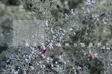 男子欠外債無力償還(男子欠外債無力償還)