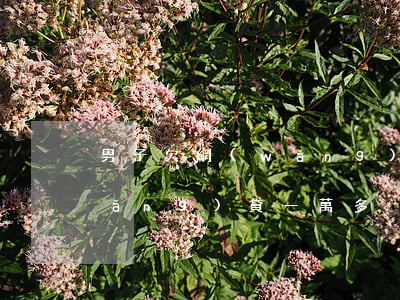 男子欠網(wǎng)貸150萬(欠網(wǎng)貸一萬多)