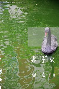 男子欠網(wǎng)貸刷給主播(男子網(wǎng)貸打賞女主播)
