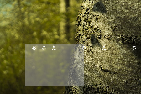 男子欠網貸不還(欠網貸不還最終會怎樣)