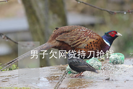 男子欠网贷持刀抢钱