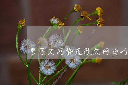 男子欠网贷道歉(欠网贷对方说报警是真的吗)