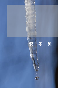 男子欠銀行6億(男子欠銀行710000)