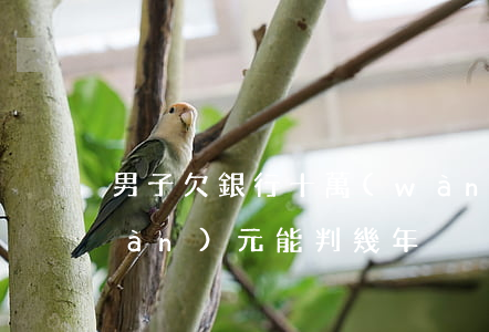 男子欠銀行十萬(wàn)(欠銀行十萬(wàn)元能判幾年)