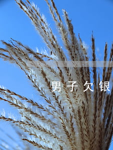 男子欠银行千万贷款 男子欠银行千万贷款