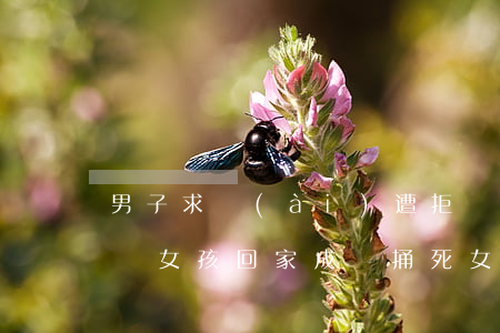 男子求愛(ài)遭拒強(qiáng)行帶女孩回家成親 捅死女孩母親