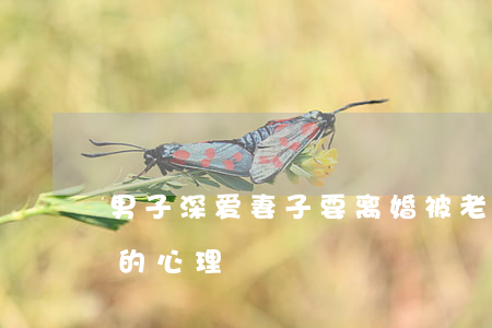 男子深爱妻子要离婚(被老婆出轨离婚的男人的心理)