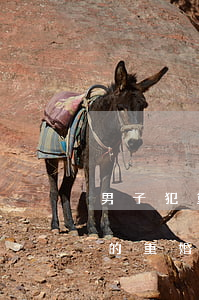 男子犯重婚罪孩子歸誰撫養(yǎng)(男的重婚罪判多少年?)