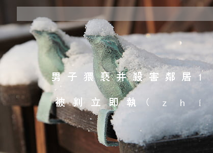 男子猥褻并殺害鄰居11歲女孩獲死刑 死刑被判立即執(zhí)行是多久執(zhí)行