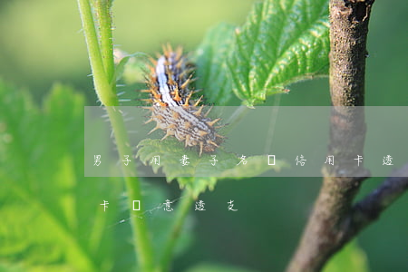 男子用妻子名義信用卡透支(丈夫用妻子信用卡惡意透支)