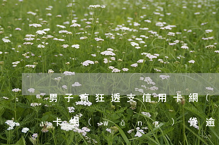 男子瘋狂透支信用卡網(wǎng)貸(信用卡網(wǎng)貸逾期)