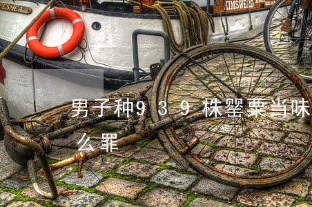 男子种939株罂粟当味精放 种植罂粟是什么罪?
